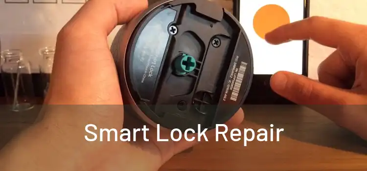 Smart Lock Repair